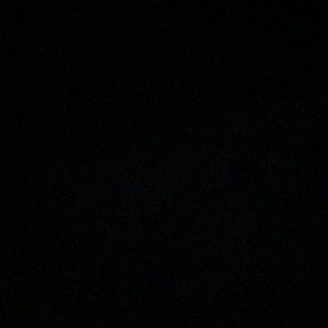 Meet your Posher, Phoebe